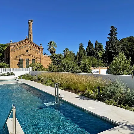 Sherry De La Riva - Ole Solutions * Jerez de la Frontera